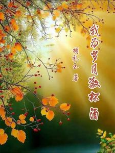 我为岁月斟满一杯酒dj女声